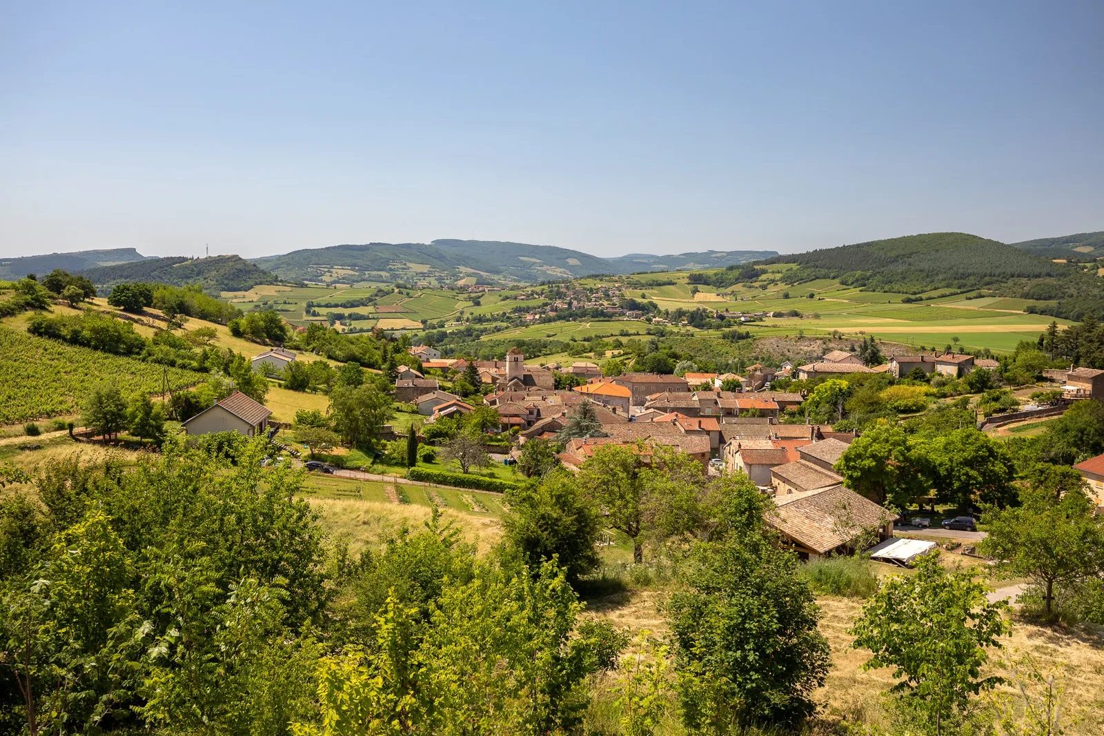 berze-la-ville-sud-bourgogne-052